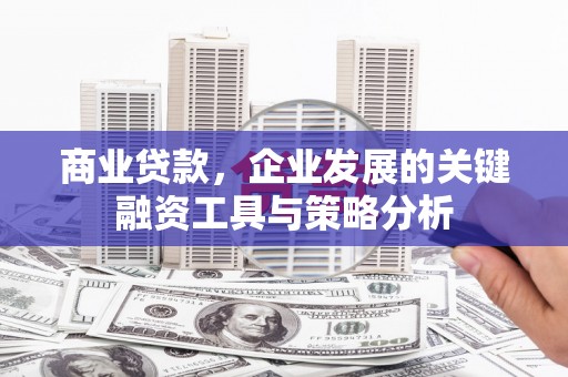 金阳商业贷款，企业发展的关键融资工具与策略分析