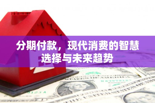 金阳分期付款，现代消费的智慧选择与未来趋势
