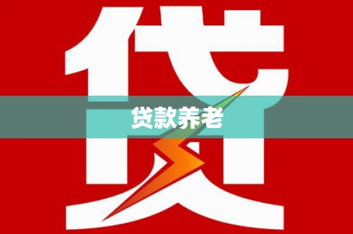 金阳贷款养老