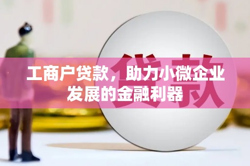 金阳工商户贷款，助力小微企业发展的金融利器