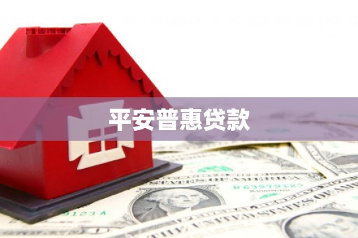 金阳平安普惠贷款