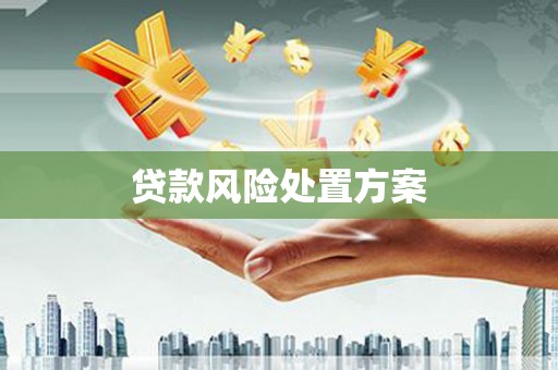 金阳贷款风险处置方案