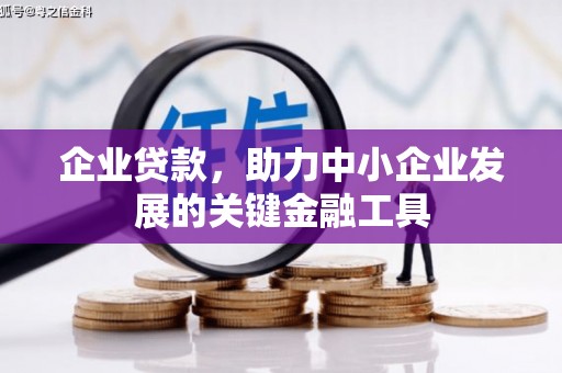 金阳企业贷款，助力中小企业发展的关键金融工具