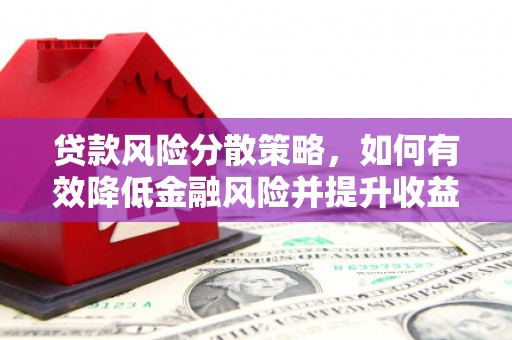 金阳贷款风险分散策略，如何有效降低金融风险并提升收益