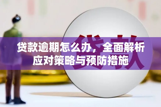金阳贷款逾期怎么办，全面解析应对策略与预防措施