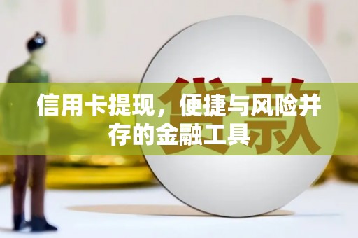 金阳信用卡提现，便捷与风险并存的金融工具