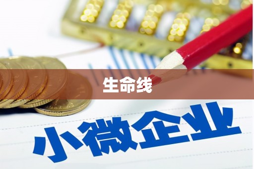 金阳生命线