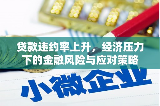 金阳贷款违约率上升，经济压力下的金融风险与应对策略