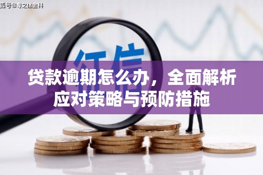 金阳贷款逾期怎么办，全面解析应对策略与预防措施
