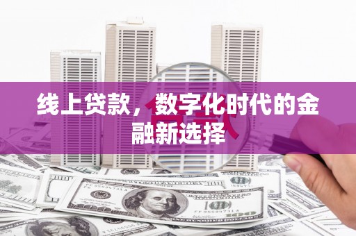 金阳线上贷款，数字化时代的金融新选择