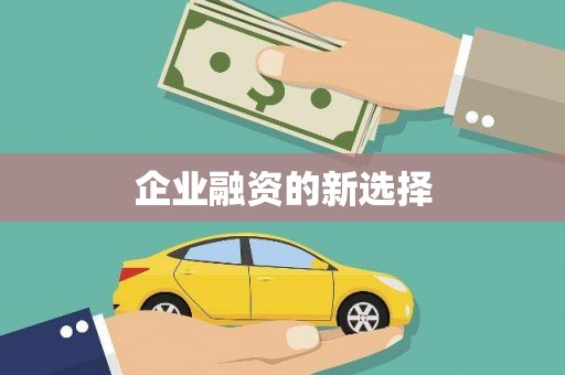 金阳企业融资的新选择