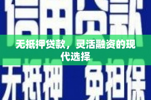 金阳无抵押贷款，灵活融资的现代选择