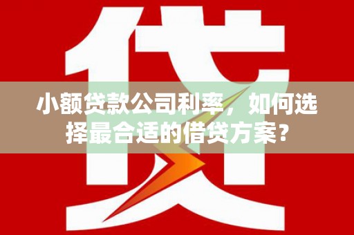 金阳小额贷款公司利率，如何选择最合适的借贷方案？