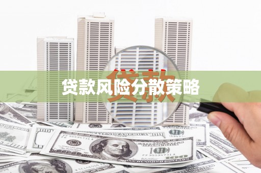 金阳贷款风险分散策略