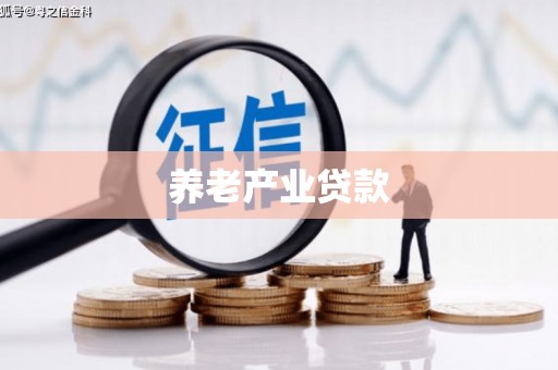 金阳养老产业贷款