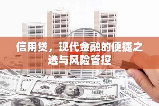 金阳信用贷，现代金融的便捷之选与风险管控