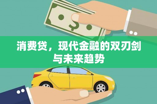 金阳消费贷，现代金融的双刃剑与未来趋势
