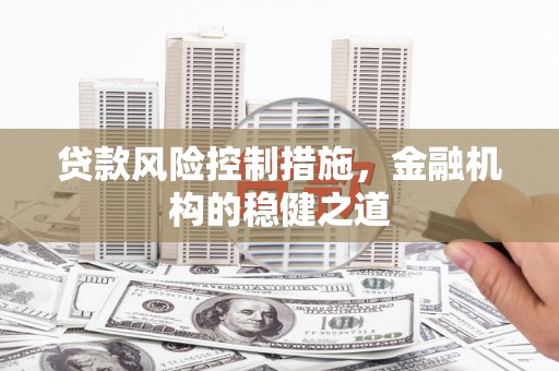 金阳贷款风险控制措施，金融机构的稳健之道
