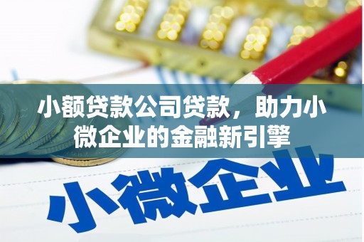 金阳小额贷款公司贷款，助力小微企业的金融新引擎