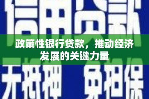 金阳政策性银行贷款，推动经济发展的关键力量