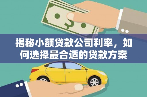 金阳揭秘小额贷款公司利率，如何选择最合适的贷款方案
