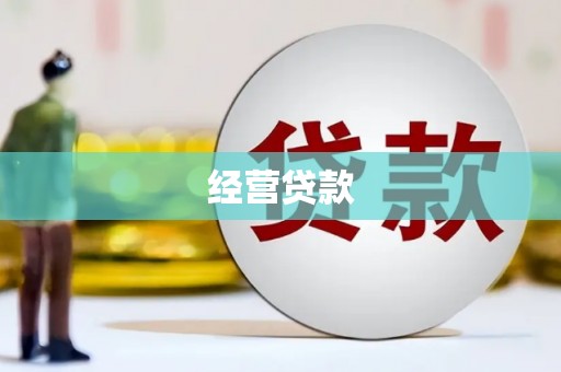 金阳经营贷款