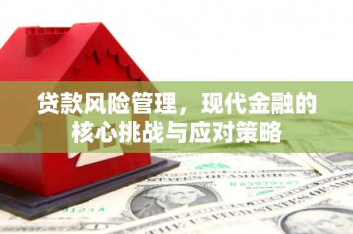金阳贷款风险管理，现代金融的核心挑战与应对策略