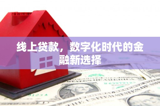 金阳线上贷款，数字化时代的金融新选择