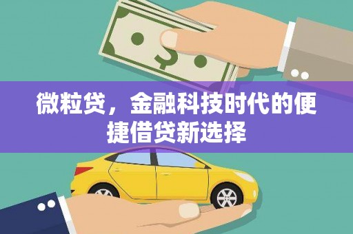 金阳微粒贷，金融科技时代的便捷借贷新选择