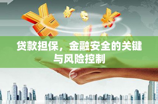 金阳贷款担保，金融安全的关键与风险控制