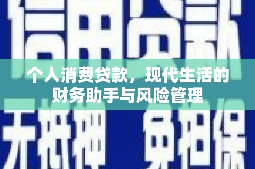 金阳个人消费贷款，现代生活的财务助手与风险管理