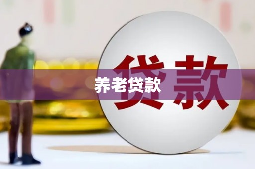 金阳养老贷款