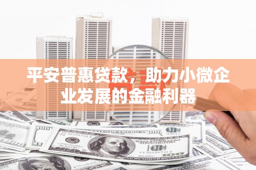 金阳平安普惠贷款，助力小微企业发展的金融利器