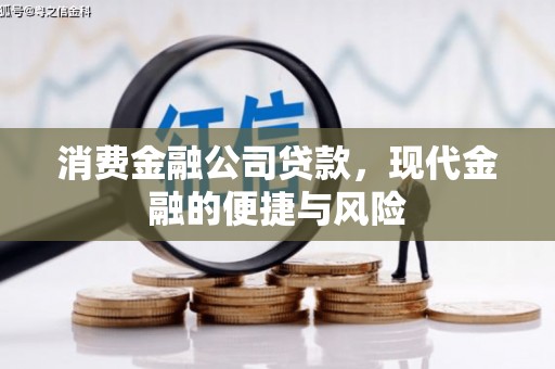 金阳消费金融公司贷款，现代金融的便捷与风险