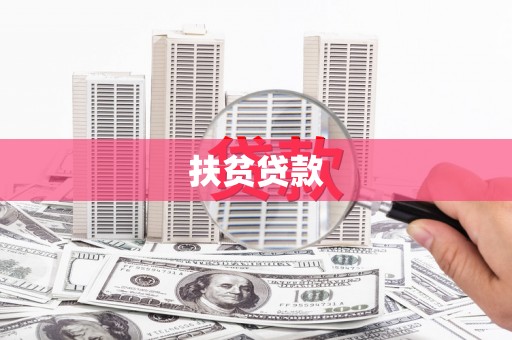 金阳扶贫贷款
