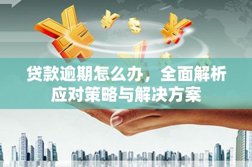 金阳贷款逾期怎么办，全面解析应对策略与解决方案