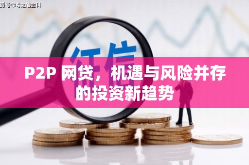 金阳P2P 网贷，机遇与风险并存的投资新趋势