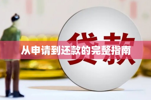 金阳从申请到还款的完整指南