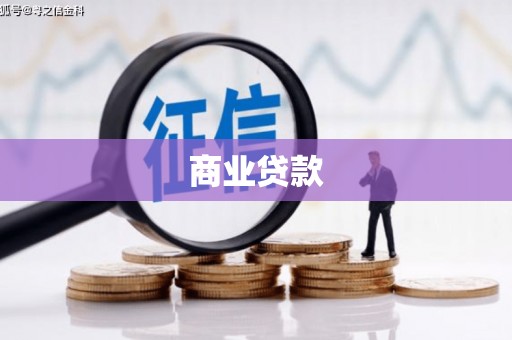 金阳商业贷款