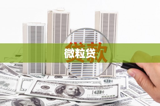 金阳微粒贷