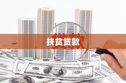 金阳扶贫贷款