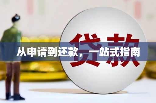 金阳从申请到还款，一站式指南