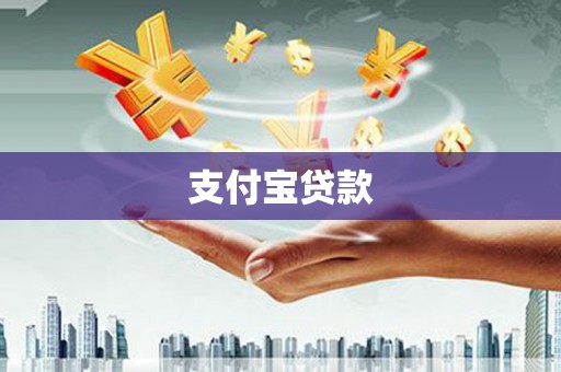 金阳支付宝贷款