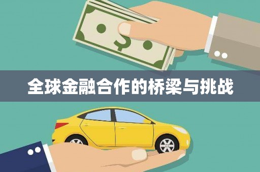 金阳全球金融合作的桥梁与挑战
