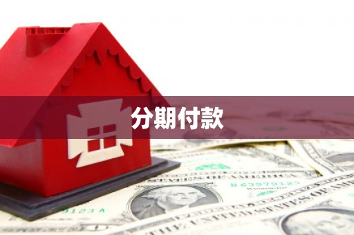 金阳分期付款