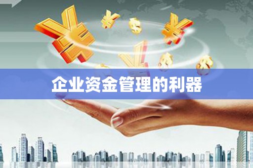 金阳企业资金管理的利器