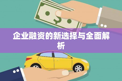 金阳企业融资的新选择与全面解析