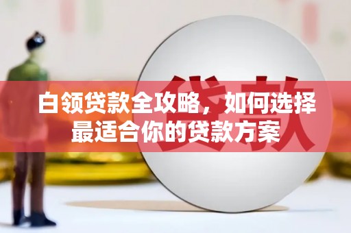 金阳白领贷款全攻略，如何选择最适合你的贷款方案