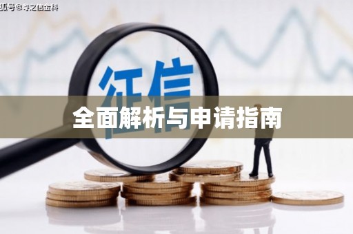 金阳全面解析与申请指南
