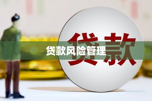 金阳贷款风险管理